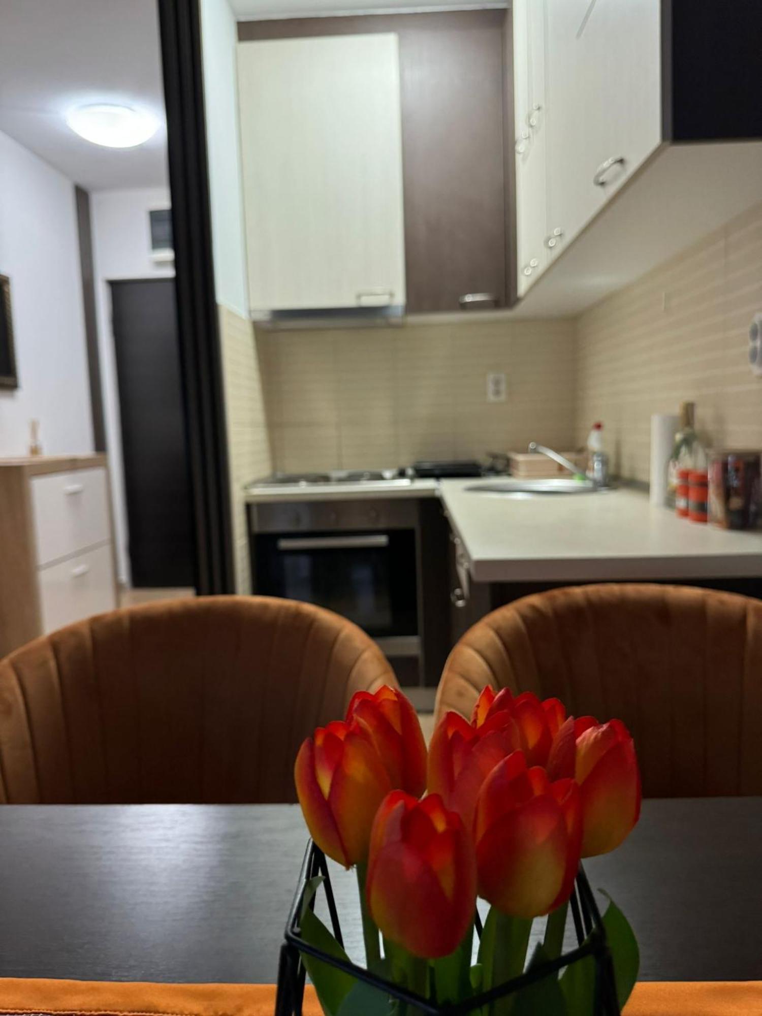 Appartement Stan Na Dan Aurora à Požarevac Extérieur photo
