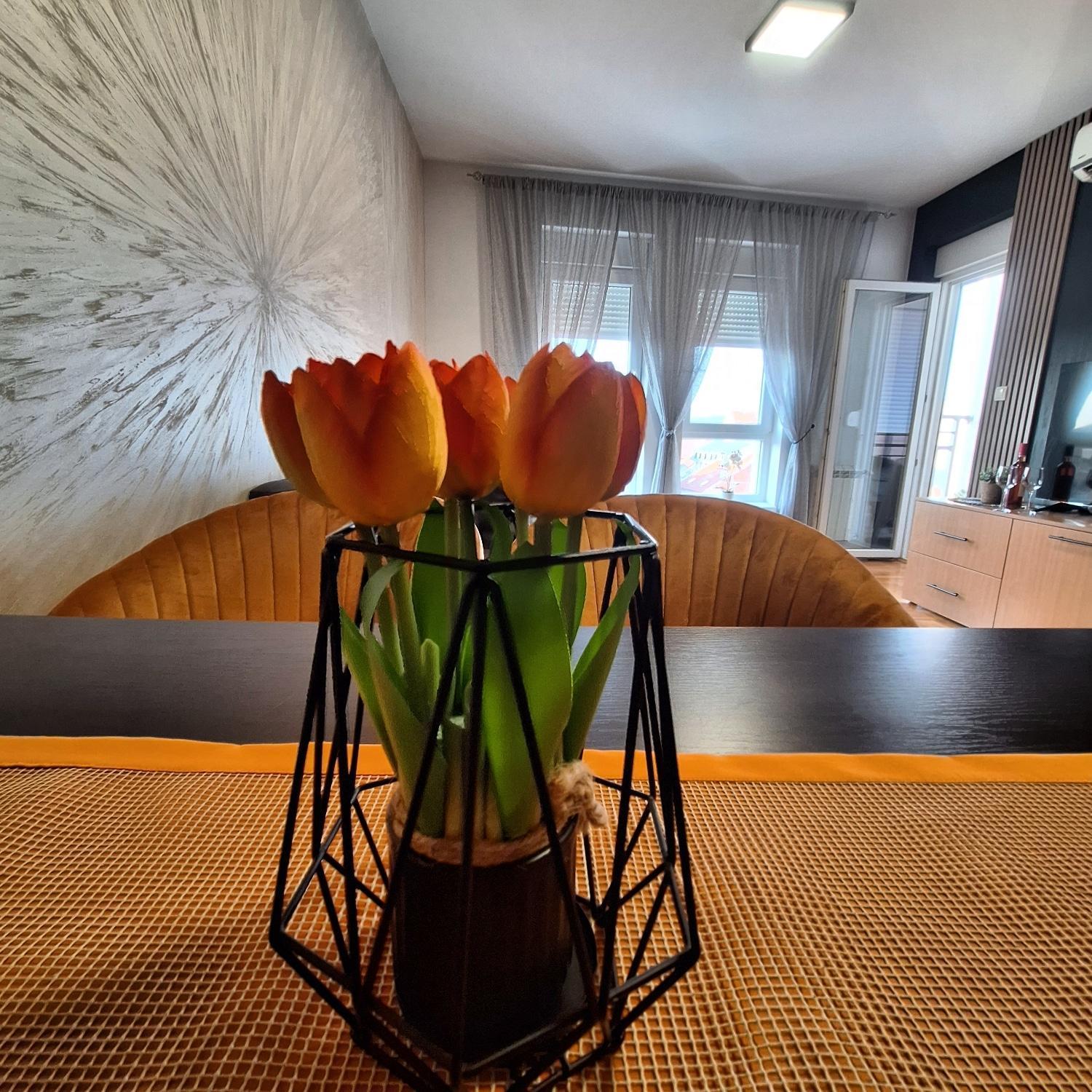 Appartement Stan Na Dan Aurora à Požarevac Extérieur photo
