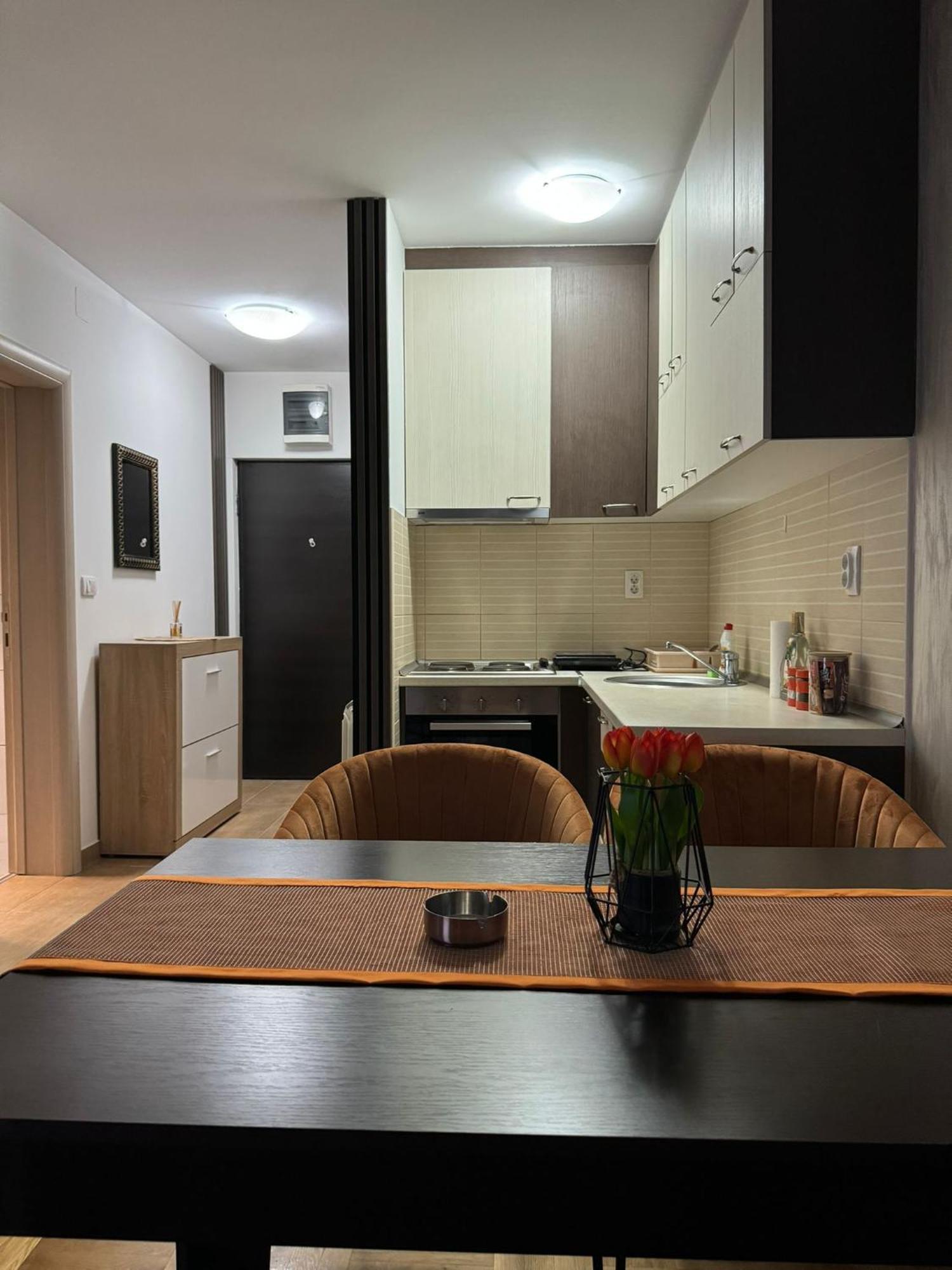 Appartement Stan Na Dan Aurora à Požarevac Extérieur photo