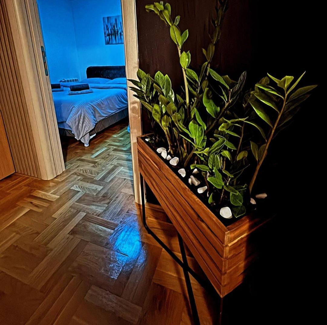 Appartement Stan Na Dan Aurora à Požarevac Extérieur photo