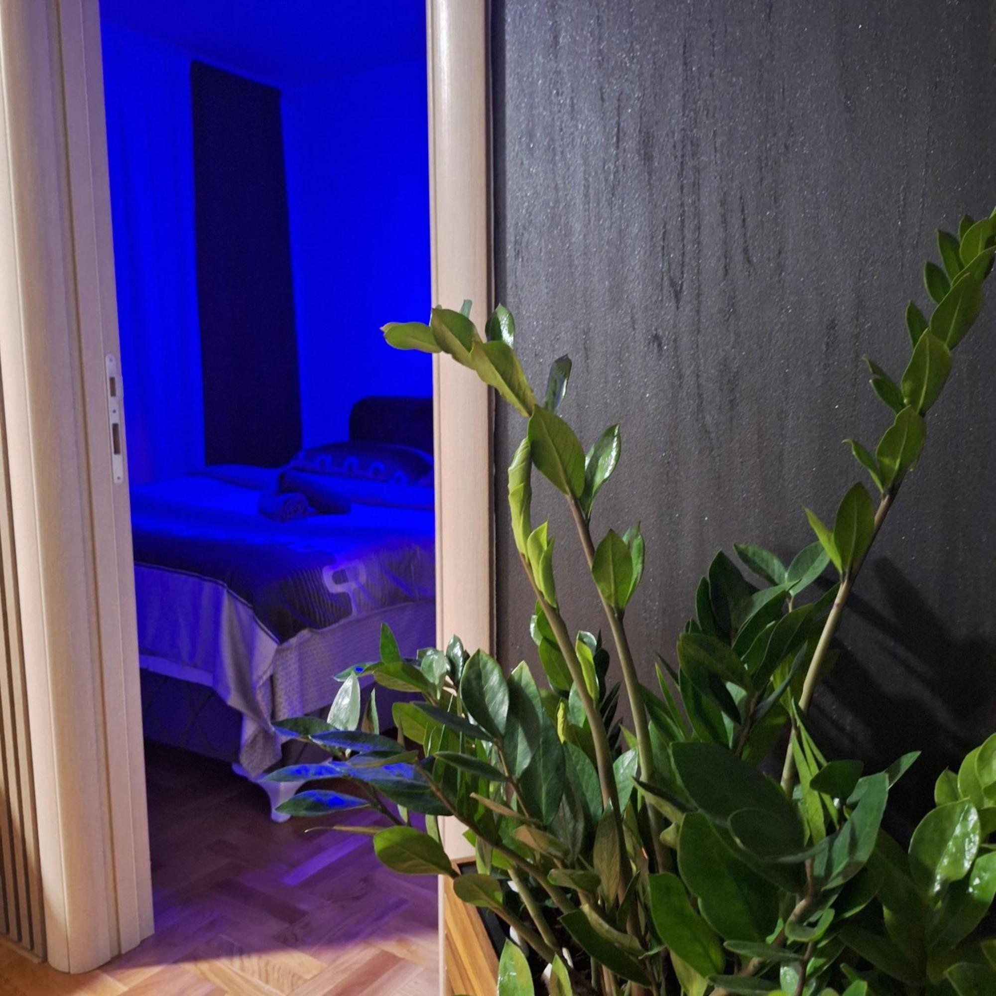 Appartement Stan Na Dan Aurora à Požarevac Extérieur photo