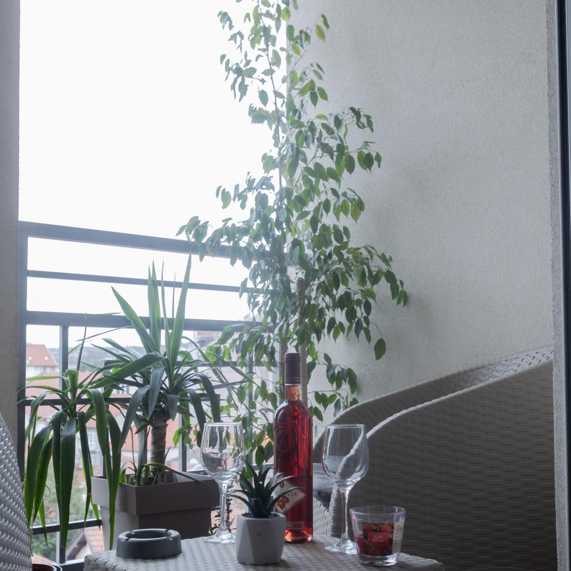 Appartement Stan Na Dan Aurora à Požarevac Extérieur photo