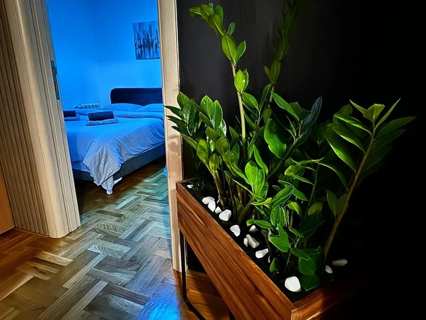 Appartement Stan Na Dan Aurora à Požarevac Extérieur photo